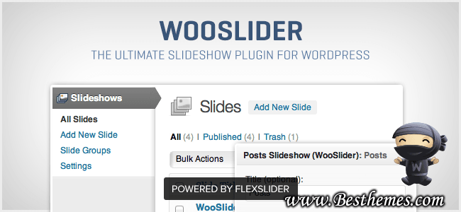 WooSlider Premium WordPress Plugin, wordpress slider shortcode, responsive slider plugin