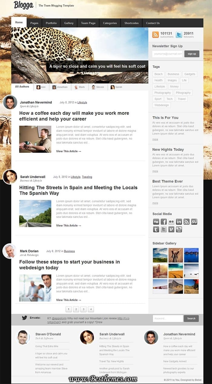 Blogga premium wordpress theme from ThemeForest, best multiple author blog wordpress theme