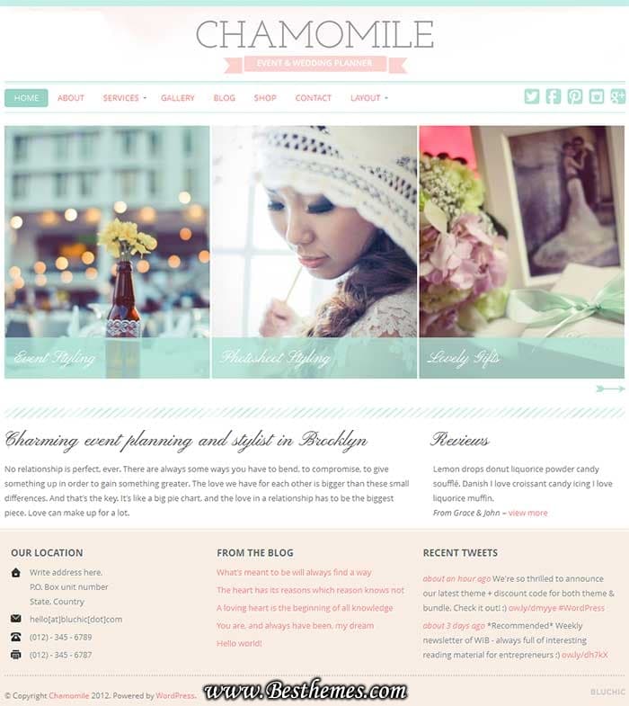 Chamomile premium WordPress Theme From Blue Chick, Download Business  eCommerce theme