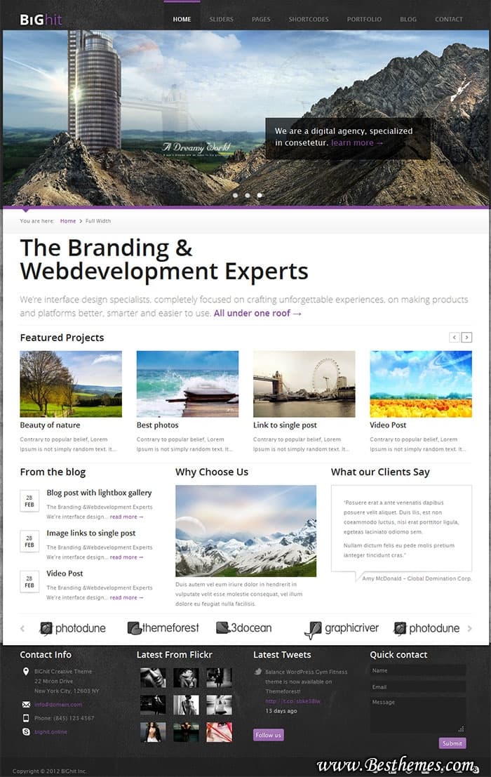 BIGhit Premium WordPress Theme from ThemeForest, Corporate wordpress template, Clean Business wp template