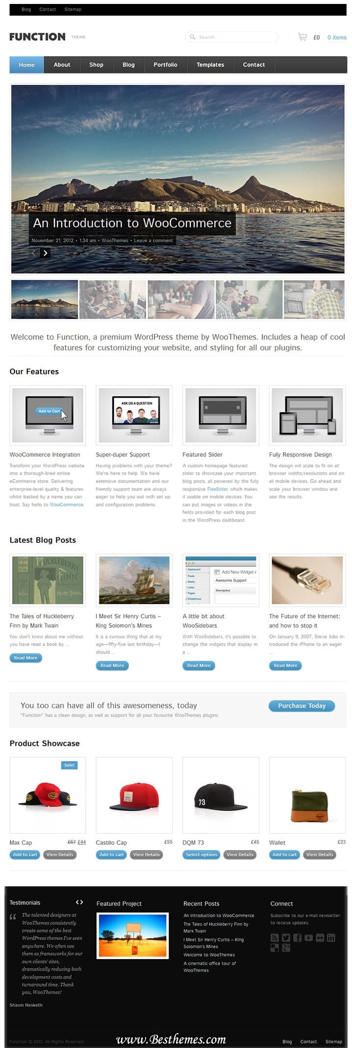 Download Function WordPress Theme, Portfolio WordPress Theme, Optional eCommerce WordPress Theme