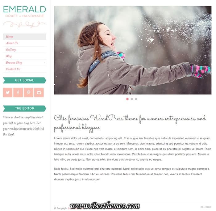 Emerald WordPress Theme, Best Small Business WordPress Theme, Emerald WordPress Template, clean business WP Theme, Clean WooCommerce WordPress Theme