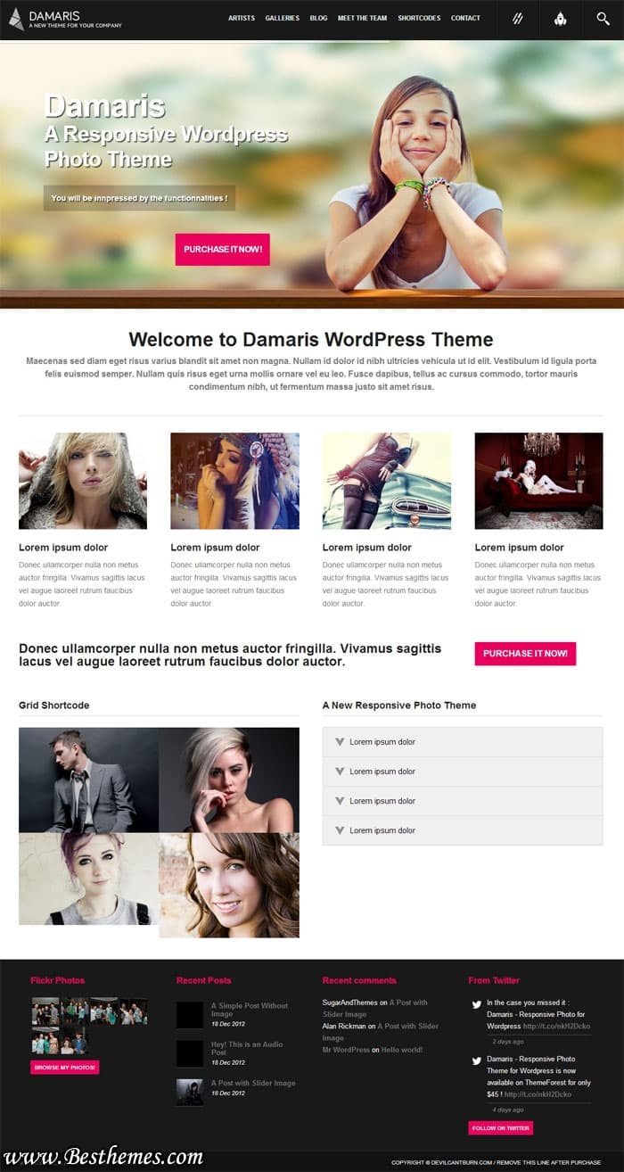 Damaris-Premium-WordPress-Theme-From-ThemeForest, Damaris WordPress Theme, Damaris Premium WordPress Theme, Download Damaris WordPress Theme, Damaris Download, Best Artist WordPress Theme