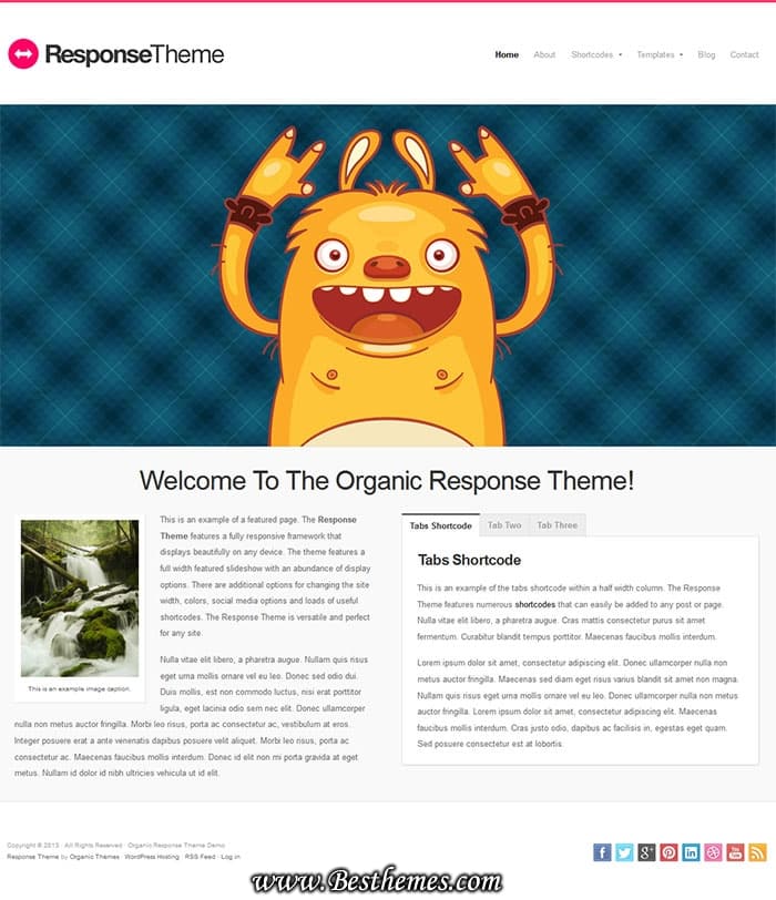 Organice-Themes-Response-WordPress-Theme---A-Retina-Ready-WP-Theme