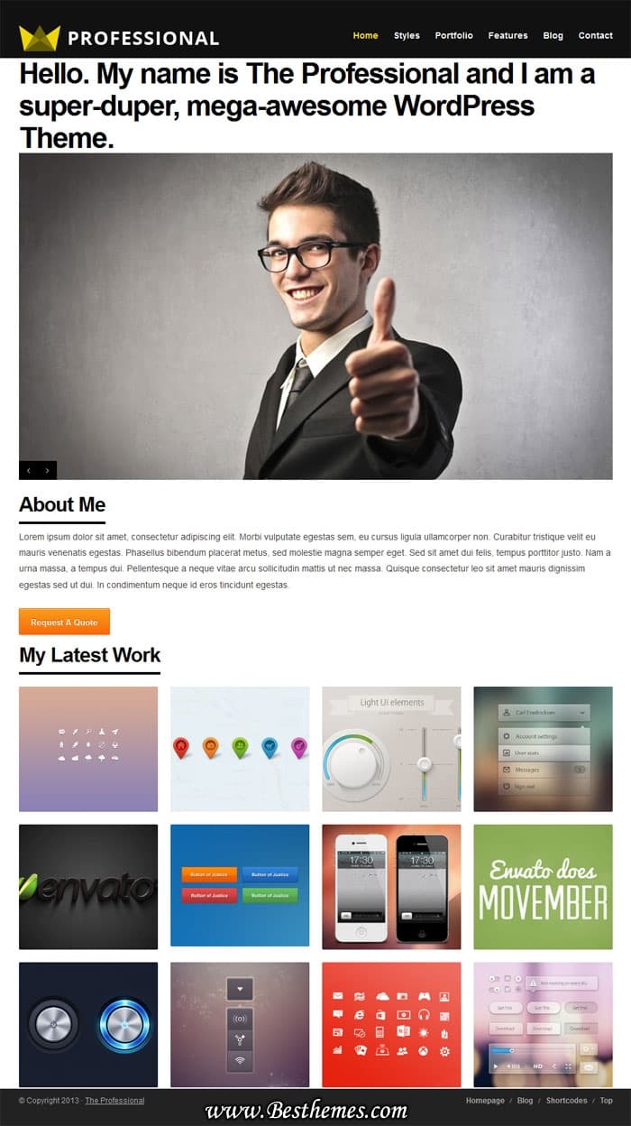 The-Professional-WordPress-Theme-From-ThemeForest