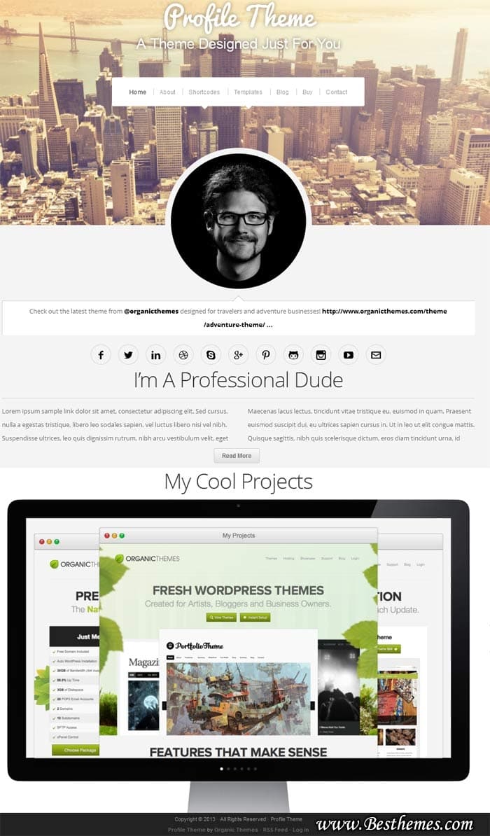 Profile WordPress Theme - Organic Themes