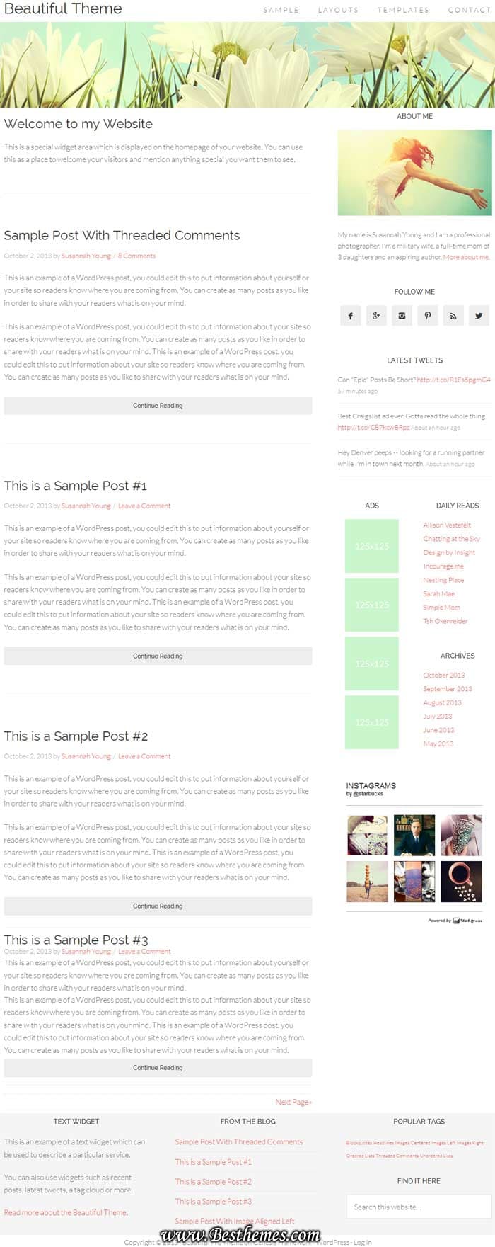 Beautiful Pro WordPress Theme, Beautiful Pro Child Theme, Best Clean HTML5 WordPress Theme
